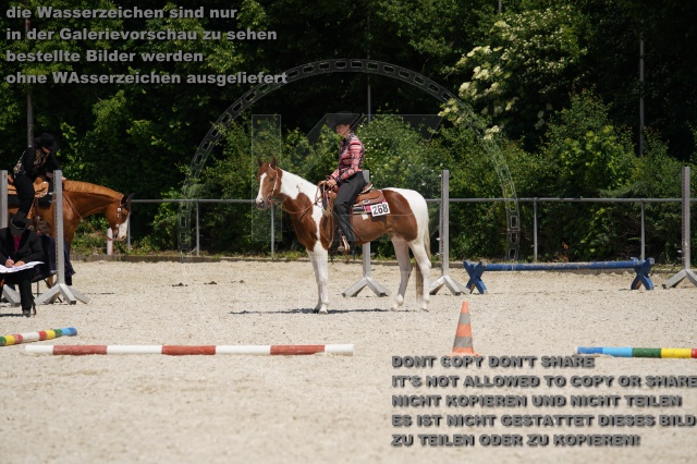 s_K3F01943.JPG